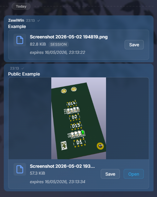 Chat showing two attachment cards: a session-mode file card (82.8 KiB, SESSION badge, Save button, expiry timestamp) and a public-mode image card with a PCB board thumbnail, Save and Open buttons, and expiry timestamp